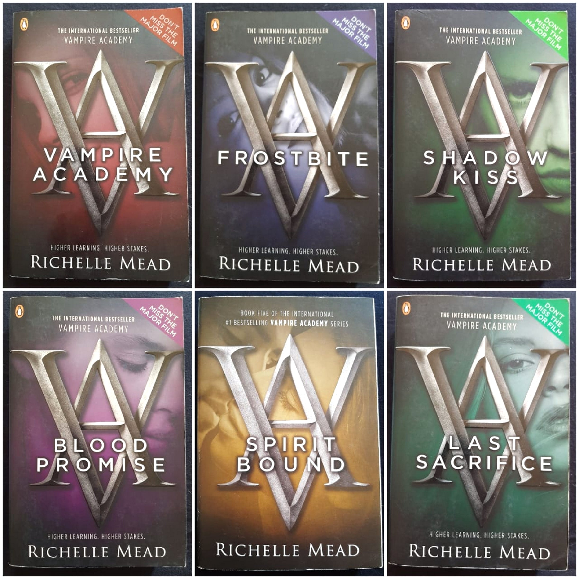 Front Cover Of Bestselling Book Vampire Academy #1-6 Bundle (Richelle Mead
)
