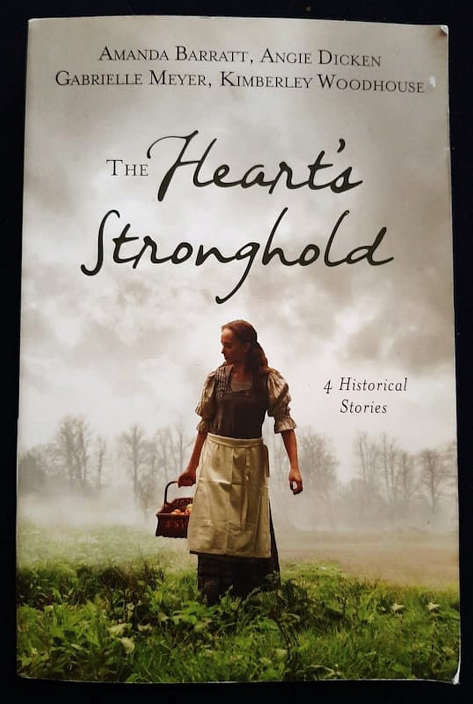 Front Cover Of Bestselling Book The Heart'S Stronghold: 4 Historical Stories (Amanda Barratt
)