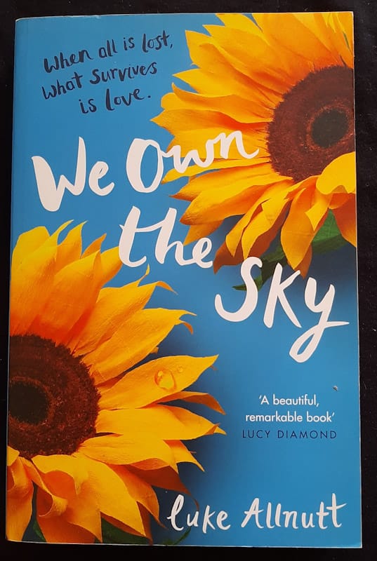 Front of cover of We Own The Sky (Luke Allnutt)