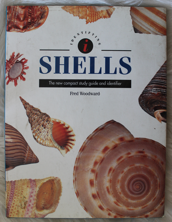 Front Cover Of Shells  (Fred Woodward)