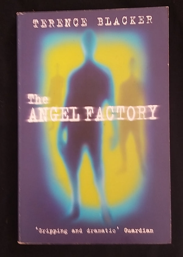 Front Cover Of The Angel Factory (Terence Blacker
)