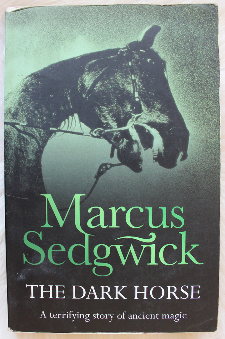 Front Cover Of The Dark Horse  (Marcus Sedgwick)