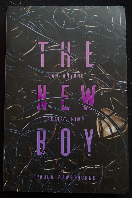 The New Boy (Paula Rawsthorne)