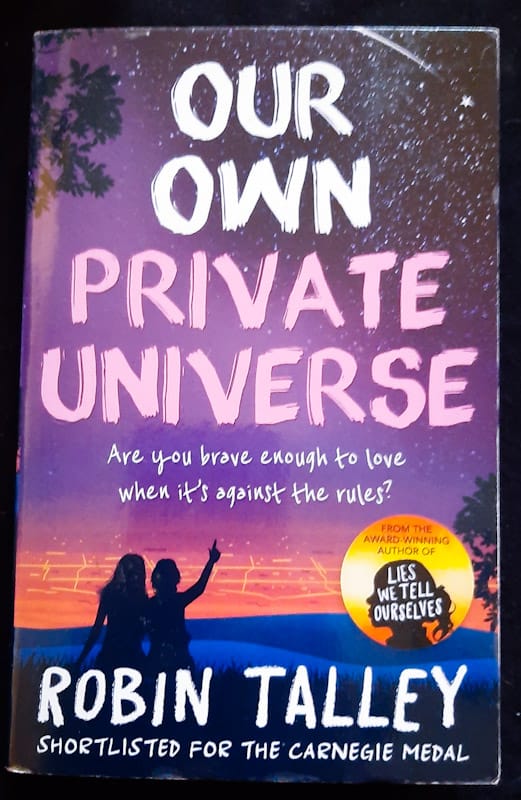 Our Own Private Universe (Robin Talley)