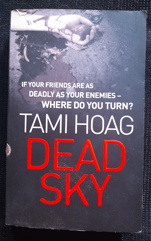 Front Cover Of Dead Sky (Kovac And Liska #3) (Tami Hoag
)