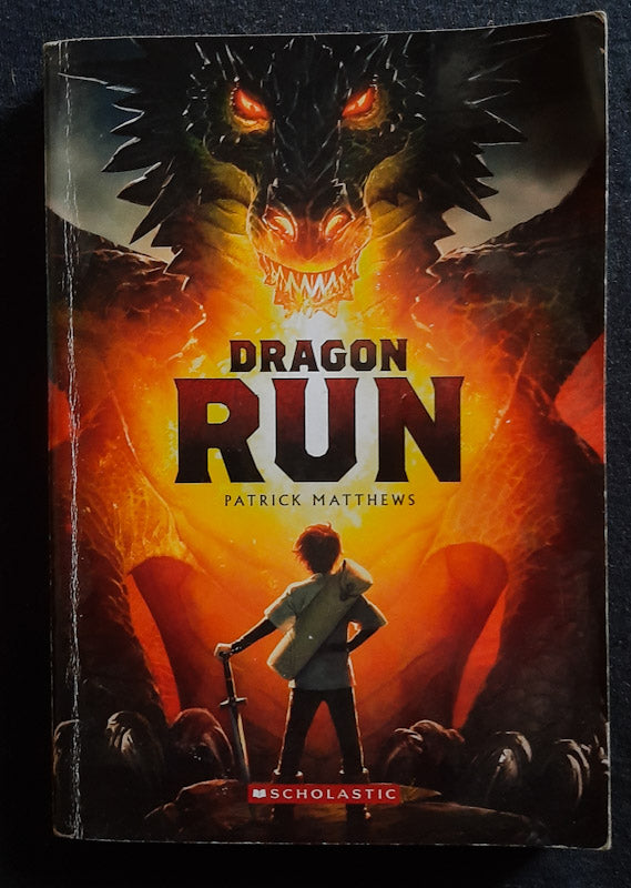 Front Cover Of Dragon Run (Patrick Matthews
)