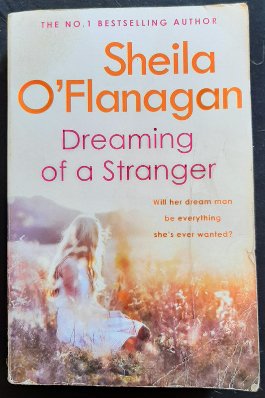 Front Cover Of Dreaming Of A Stranger (Sheila O'Flanagan
)