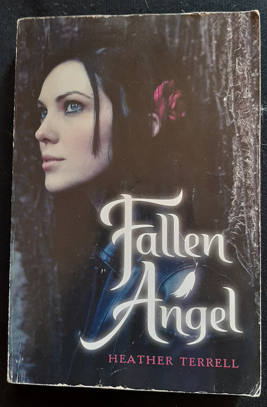 Front Cover Of Fallen Angel (Fallen Angel #1) (Heather Terrell
)