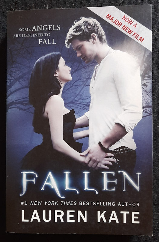 Front Cover Of Fallen (Fallen #1)