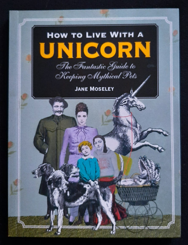 Front Cover Of How To Live With A Unicorn (Jane Moseley
)