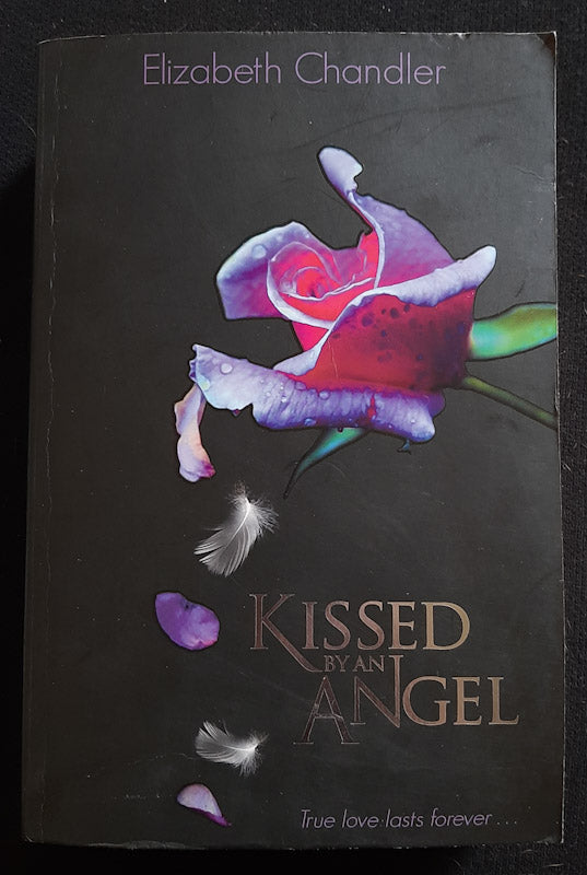 Front Cover Of Kissed By An Angel (Kissed By An Angel #1) (Elizabeth Chandler)