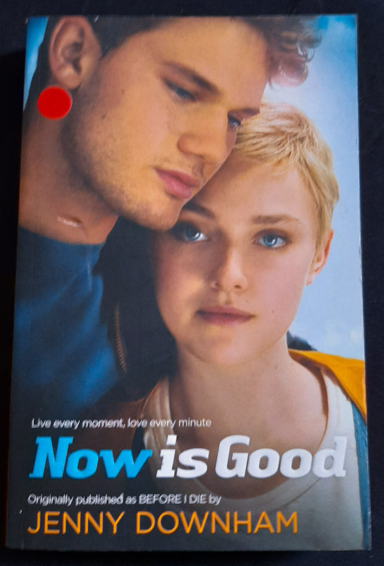 Front Cover Of Now Is Good (Jenny Downham
)
