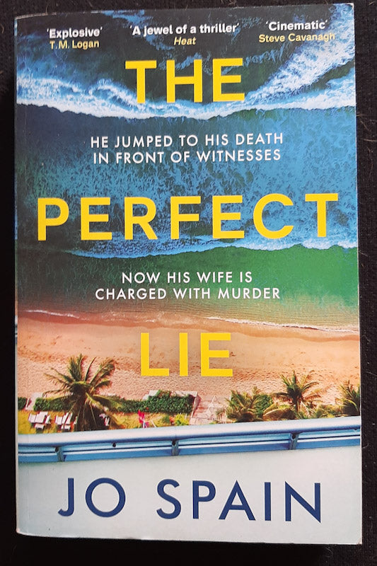 Front Cover Of The Perfect Lie (Jo Spain
)