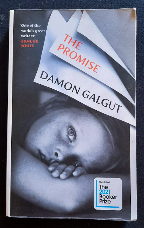 Front Cover Of The Promise (Damon Galgut
)