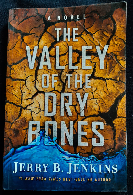 Front Cover Of The Valley of the Dry Bones (Jerry B. Jenkins
)