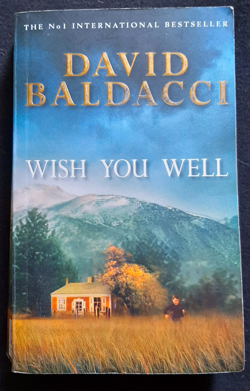 Wish You Well (David Baldacci)