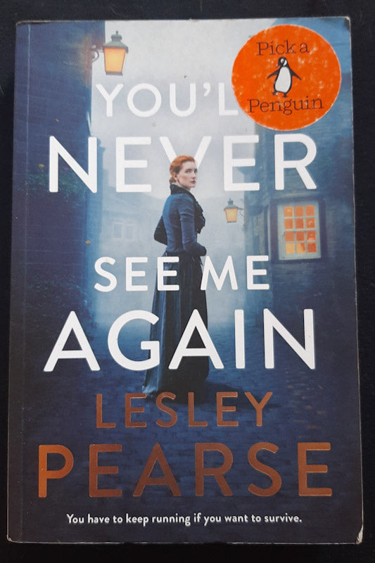 Front Cover Of You'Ll Never See Me Again (Lesley Pearse
)