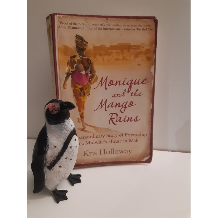 Front Cover Of The Best-Selling Book Monique And The Mango Rains Kris Holloway