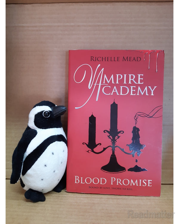 Front Cover Of The Best-Selling Book Blood Promise Mead, Richelle