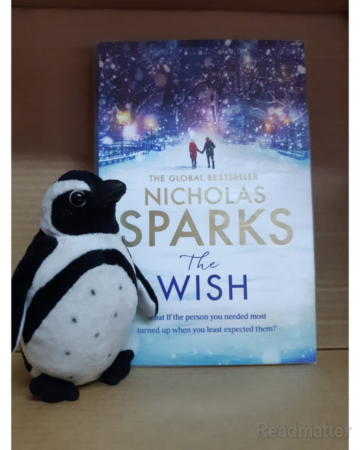 Front Cover Of The Wish (Sparks, Nicholas))