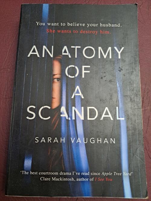 Front Cover Of Anatomy of a Scandal (Sarah Vaughan))